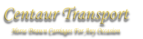 Horse Drawn Carriages For Any Occasion 
